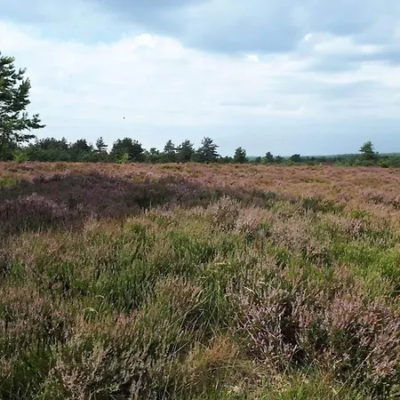 Casa de Férias Charming Retreat In Sydjylland - By Traum